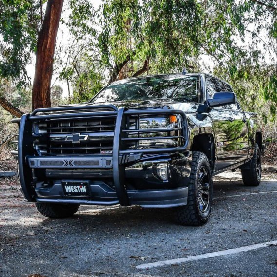 WES Sportsman Grille Guards