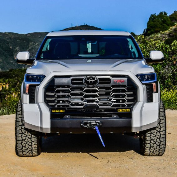 WES Sportsman Winch Mnt Guards