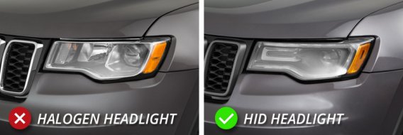 DIO Halo Ring Bulb