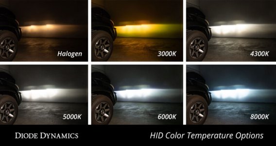 DIO Replacement Bulbs
