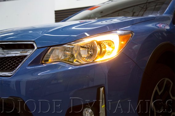 DIO Halo Ring Bulb