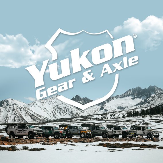 Dura Grip Limited Slip Positraction Ford 10.25 & 10.5 Diffs 35 Spline 10.25 Inch +10.5 Inch Ford ...