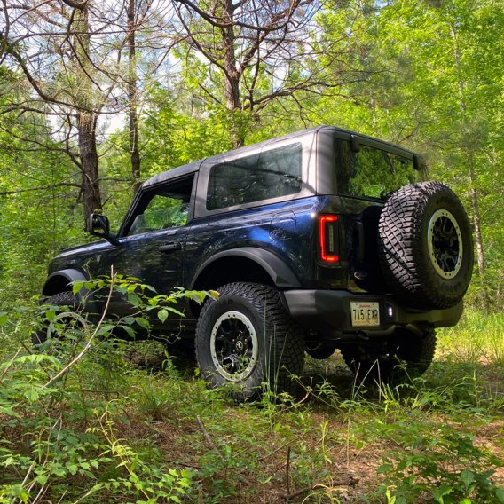 ORL LED Tail Lights