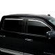 PUT Element Chrm Window Visors