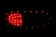 ANZ LED Taillights