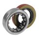 Rear Axle Bearing And Seal Kit For Various Differentials R1563TAV Axle Bearing & Seal Kit 2.250 I...