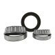 Rear Axle Bearing And Seal Kit For Chrylser '03 & Up 11.5 & 11.8 AAM Dodge Dual Rear Wheel (Drw) ...