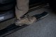 19-Current Ram 1500 Quad Cab 5 Inch Oval Side Steps Fishbone Offroad
