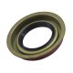 12T 12P & Ci Vette Pinion Seal GM 12T 12P & Ci Vette Pinion Seal Deluxe Design To Clear Pin Beari...