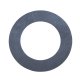 Side Gear And Thrust Washer (0.750 Inch Shaft) For 8.8 Inch Ford. 8.8 Inch Ford S/G T/W (0.750 In...
