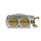 BBK Throttle Bodies
