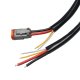 ORL Wiring Harnesses