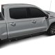 WES Nerf Bars - Premier 4