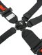 PRP 5.3 Harness