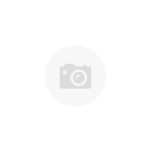 Planet Audio