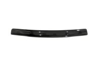 AVS Bugflector Shield