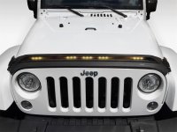 AVS Aeroskin LightShield