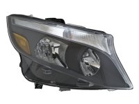 HELLA Halogen Bulb