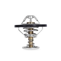 MM Thermostats