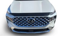 AVS Aeroskin Shield - Chrome