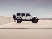 RDA Stealth Rear Fender Flares