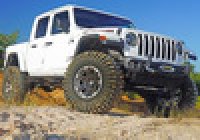 SLF Coil Springs