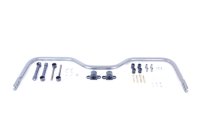 HWG Big Wig Rear Sway Bars
