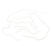 OMI Brake Hoses