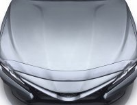 AVS Aeroskin Shield - Chrome