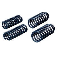 HOT Coil Springs