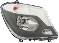 HELLA Halogen Bulb
