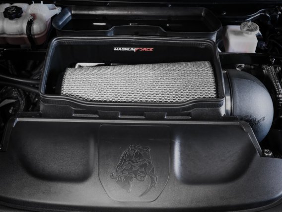 AFE Pro-Dry S Intake