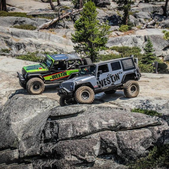 WES Snyper Rock Rail Steps