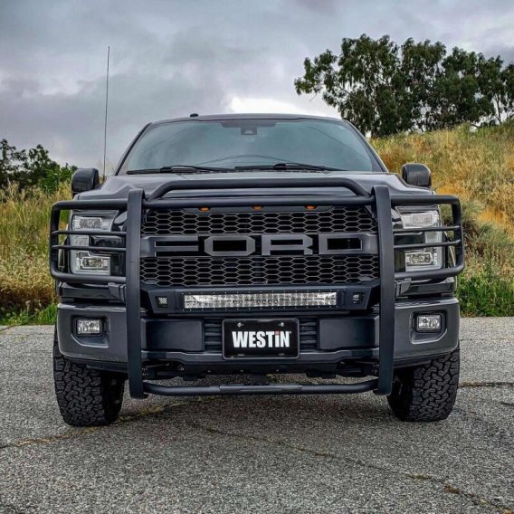 WES Sportsman Grille Guards