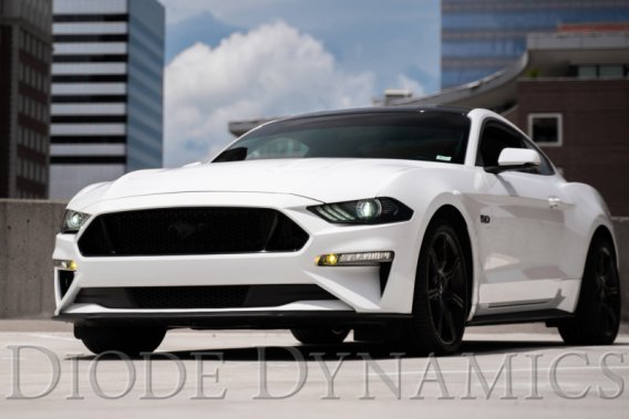 DIO Fog Lights