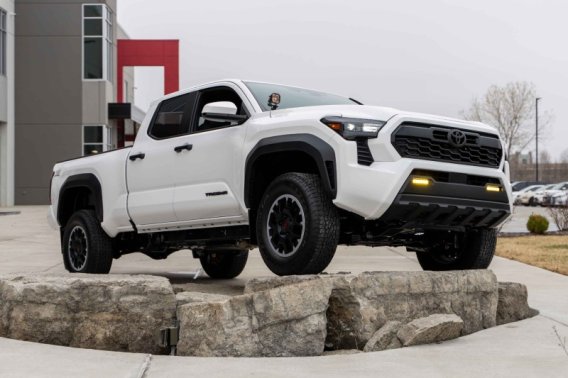 DIO Fog Lights