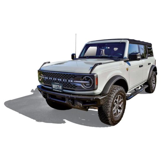 WES Nerf Bars - PRO TRAXX 4