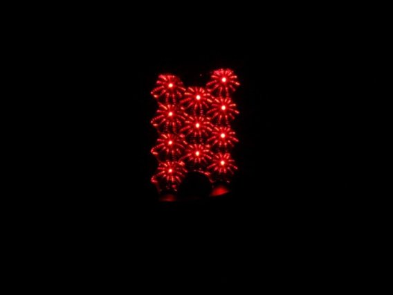 ANZ LED Taillights