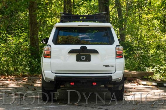DIO Backup Light