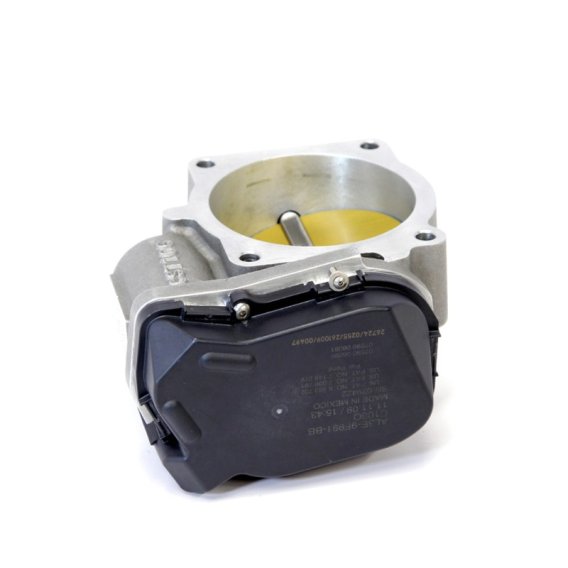 BBK Throttle Bodies