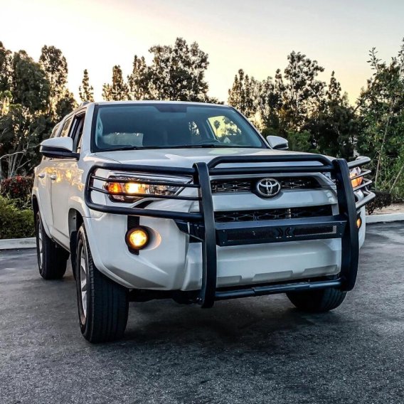 WES Sportsman Grille Guards