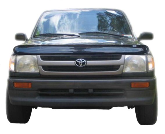 AVS Bugflector II Shield