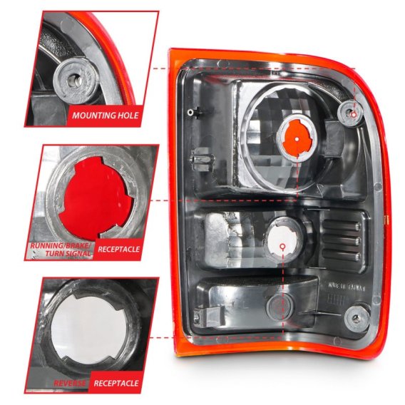 ANZ Taillights