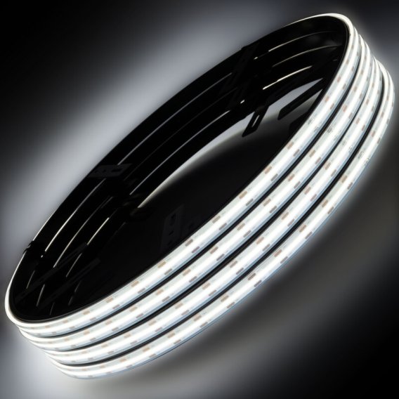 ORL Halo Ring Bulbs