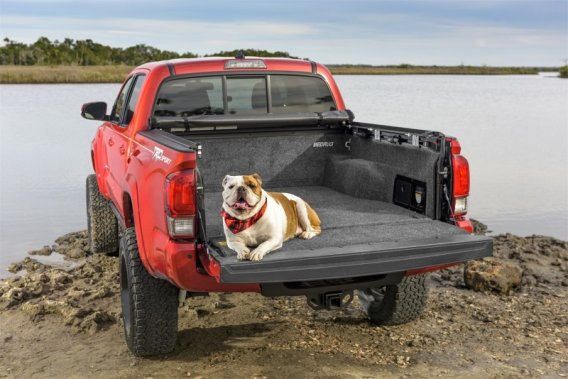 BED Bedliner