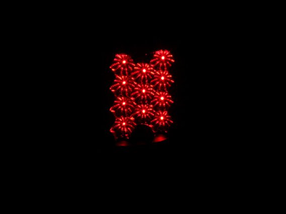 ANZ LED Taillights