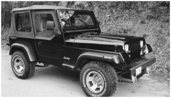 BUS Extend-A-Fender Flares