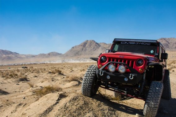 DVE Fenders