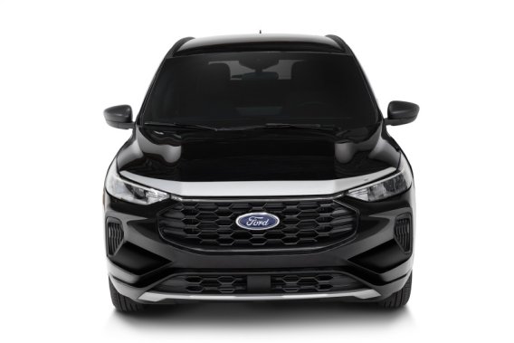 AVS Aeroskin Shield - Chrome