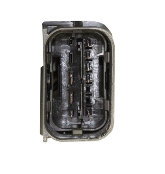 HELLA Halogen Bulb